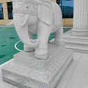 上饶 白麻花岗岩动物异形石雕-大象