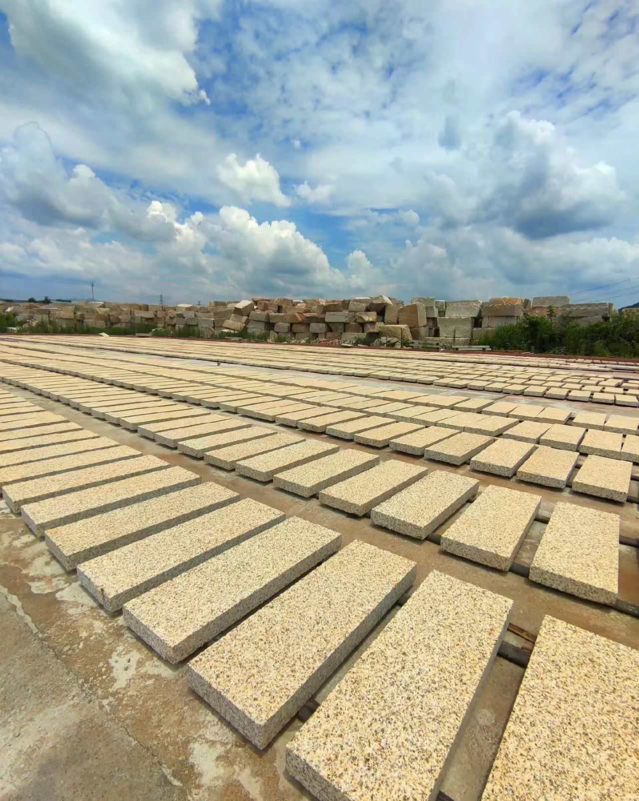 上饶 黄金麻花岗岩荔枝面地铺石防护中